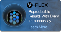 U-PLEX: Th17 Analytes Now Available